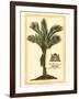 British Colonial Palm IV-null-Framed Art Print