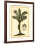 British Colonial Palm IV-null-Framed Art Print