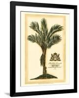 British Colonial Palm IV-null-Framed Art Print