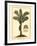 British Colonial Palm IV-null-Framed Art Print