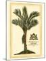 British Colonial Palm IV-null-Mounted Art Print