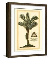 British Colonial Palm IV-null-Framed Art Print