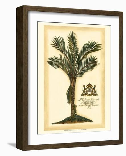 British Colonial Palm IV-null-Framed Art Print