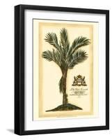 British Colonial Palm IV-null-Framed Art Print