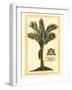 British Colonial Palm IV-null-Framed Art Print