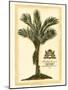 British Colonial Palm IV-null-Mounted Art Print