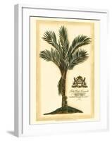 British Colonial Palm IV-null-Framed Art Print