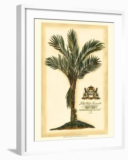 British Colonial Palm IV-null-Framed Art Print