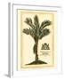 British Colonial Palm IV-null-Framed Art Print