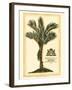 British Colonial Palm IV-null-Framed Art Print