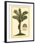 British Colonial Palm IV-null-Framed Art Print