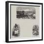 British Columbia and Vancouver Island-null-Framed Giclee Print