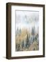 British Columbia, Canada. Early morning fog in a mixed tree forest, Wells Gray Provincial Park.-Judith Zimmerman-Framed Photographic Print