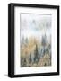 British Columbia, Canada. Early morning fog in a mixed tree forest, Wells Gray Provincial Park.-Judith Zimmerman-Framed Photographic Print