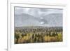 British Columbia, Canada. Mixed tree forest with light dusting of snow, Wells Gray Provincial Park.-Judith Zimmerman-Framed Photographic Print