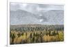 British Columbia, Canada. Mixed tree forest with light dusting of snow, Wells Gray Provincial Park.-Judith Zimmerman-Framed Photographic Print