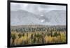 British Columbia, Canada. Mixed tree forest with light dusting of snow, Wells Gray Provincial Park.-Judith Zimmerman-Framed Photographic Print