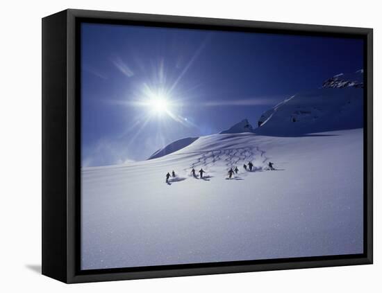 British Columbia, Canada-null-Framed Stretched Canvas