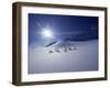 British Columbia, Canada-null-Framed Premium Photographic Print