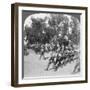 British Commanders Reviewing Troops Entering Kroonstadt, South Africa, Boer War, 1901-Underwood & Underwood-Framed Giclee Print