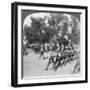 British Commanders Reviewing Troops Entering Kroonstadt, South Africa, Boer War, 1901-Underwood & Underwood-Framed Giclee Print