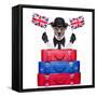 British Dog-Javier Brosch-Framed Stretched Canvas