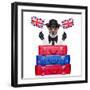 British Dog-Javier Brosch-Framed Photographic Print