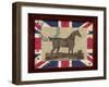 British Equestrian-Sam Appleman-Framed Art Print