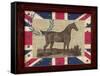 British Equestrian-Sam Appleman-Framed Stretched Canvas