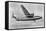 British European Airways 'Elizabethan' Class Aeroplane, 20th Century-null-Framed Stretched Canvas
