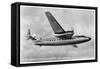 British European Airways 'Elizabethan' Class Aeroplane, 20th Century-null-Framed Stretched Canvas