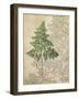 British Ferns I-John Butler-Framed Art Print