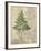 British Ferns I-John Butler-Framed Art Print
