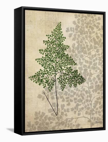 British Ferns I-John Butler-Framed Stretched Canvas
