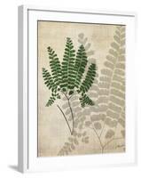 British Ferns II-John Butler-Framed Art Print