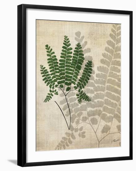 British Ferns II-John Butler-Framed Art Print