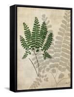 British Ferns II-John Butler-Framed Stretched Canvas