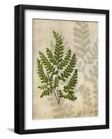 British Ferns VI-John Butler-Framed Art Print