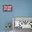 British Flag-Whoartnow-Framed Stretched Canvas displayed on a wall