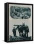 British Gunners with Packhorses, Flanders, August 1917-null-Framed Stretched Canvas