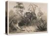 British in India Shooting a Tiger from Elephants-Captain G.f. Atkinson-Stretched Canvas