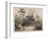 British in India Shooting a Tiger from Elephants-Captain G.f. Atkinson-Framed Photographic Print
