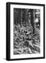 British Infantry in a Wood, First World War, 1914-1918-null-Framed Giclee Print