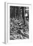 British Infantry in a Wood, First World War, 1914-1918-null-Framed Giclee Print