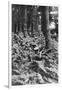 British Infantry in a Wood, First World War, 1914-1918-null-Framed Giclee Print