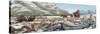 British Landscape with Various Prehistoric Animals-Stocktrek Images-Stretched Canvas