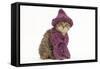 British Longhair 8 Week Old Kittens-null-Framed Stretched Canvas