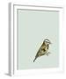 British Museum-Jenny Capon-Framed Giclee Print