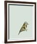 British Museum-Jenny Capon-Framed Giclee Print