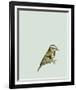 British Museum-Jenny Capon-Framed Giclee Print